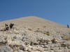 DSC06682.jpg