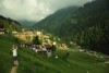 DSC_0994.jpg