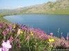 DSC07643.JPG.jpg