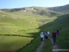 DSC07652.JPG.jpg