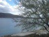 DSC07848.jpg