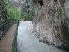 DSC07908.jpg