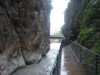 DSC07909.jpg