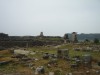 DSC07910.jpg