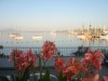 DSC08051.jpg