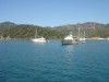 DSC08060.jpg
