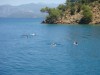 DSC08081.jpg