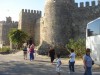 DSC08187.jpg